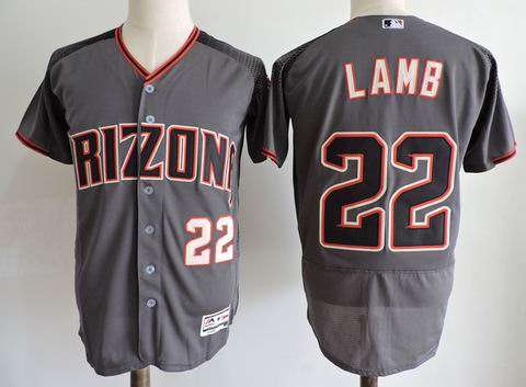 MLB Arizona Diamondbacks #22 LAMB grey flexbase jersey