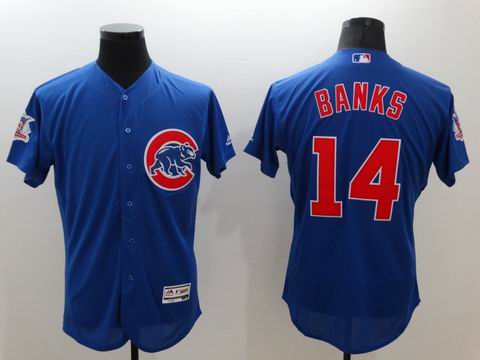 MLB Chicago Cubs #14 Ernie Banks blue jersey