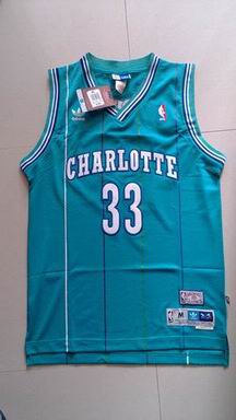 NBA Charlotte Hornets 33 Mourning blue jersey
